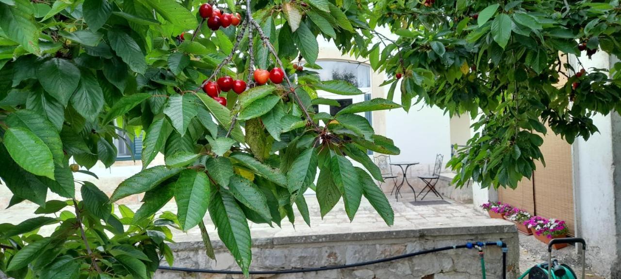 Locazione Turistica San Giorgio Daire Putignano Dış mekan fotoğraf