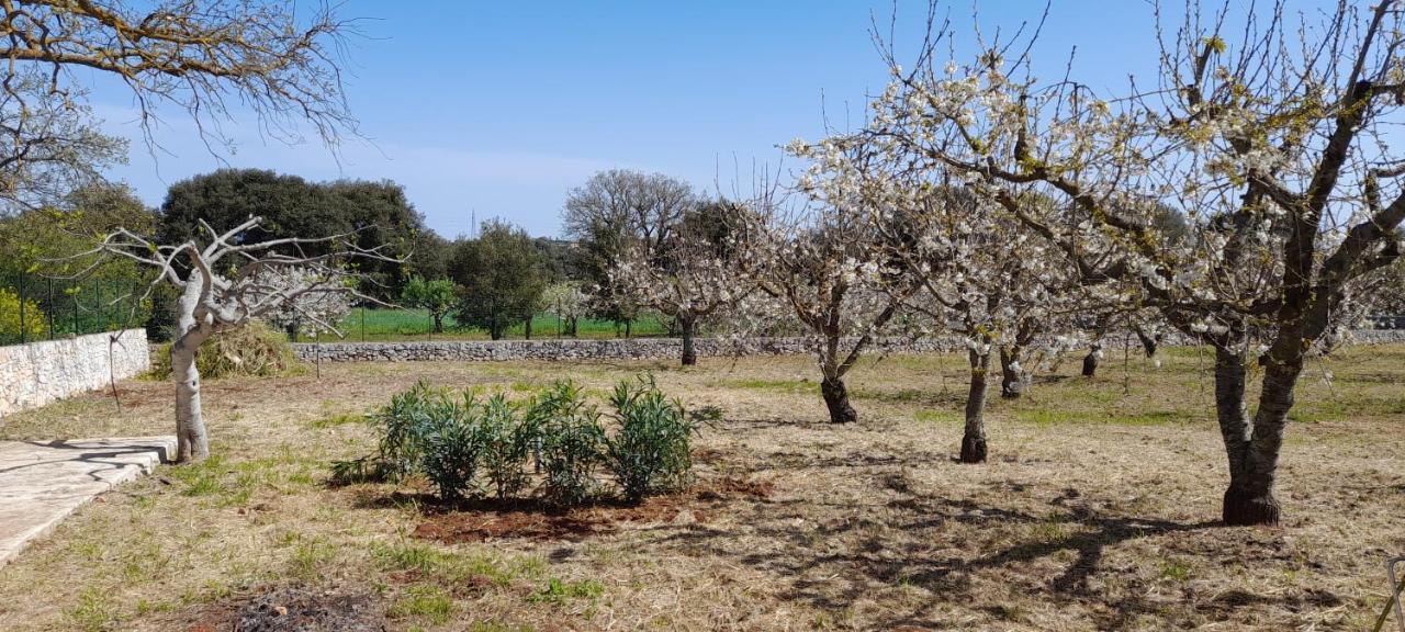 Locazione Turistica San Giorgio Daire Putignano Dış mekan fotoğraf